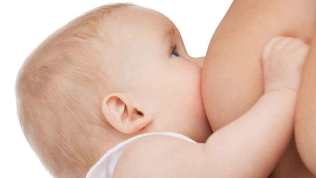 Resultado de imagen para lactancia materna