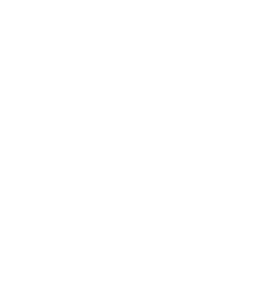 Woman Action Sustainability